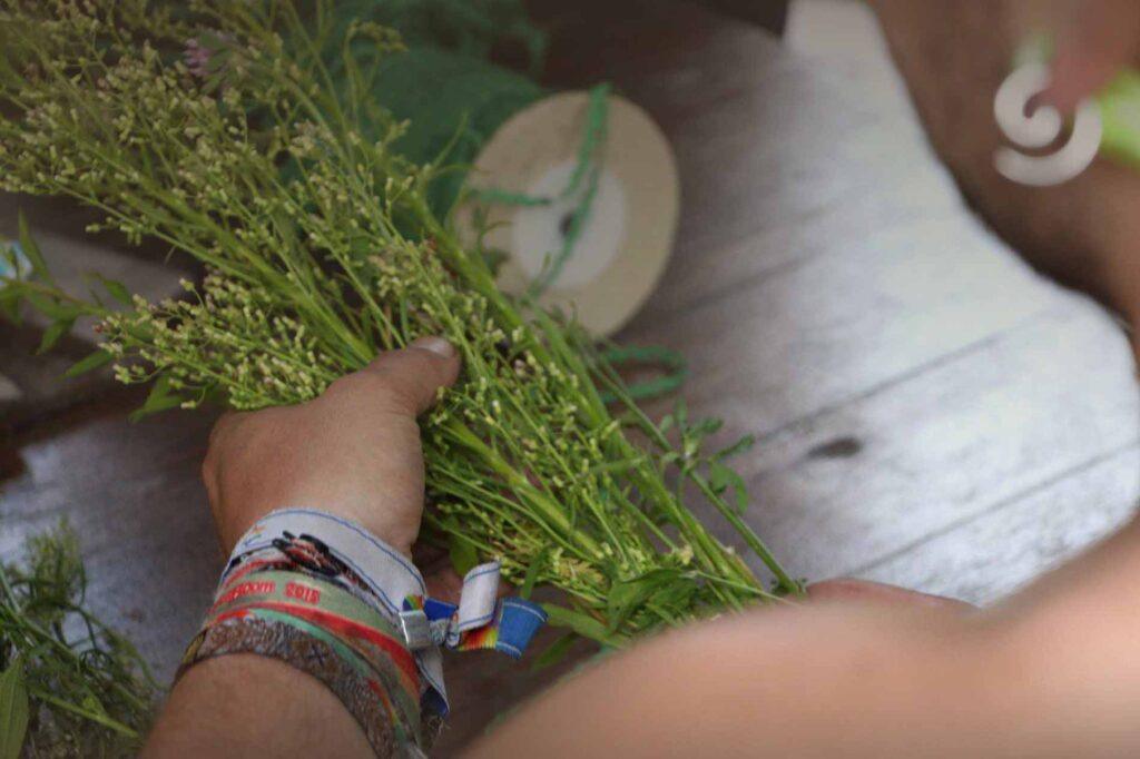 individuelles Kräutererlebnis. Kräuterwanderung oder Workshop mit dem Herbal Hunter. Kräuterblog