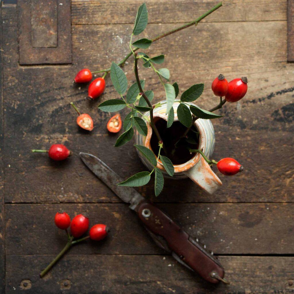 Herbal Hunter – Wildkräuter-Rezepte! Eine Auswahl saisonaler und gesunder Kräuterrezepte mit frischem wilden Grün für AnfängerInnen. Superfoods müssen nicht vom anderen Ende der Welt kommen, sondern wachsen auch vor unserer Tür. Hagebutten und Co. im Überblick.
