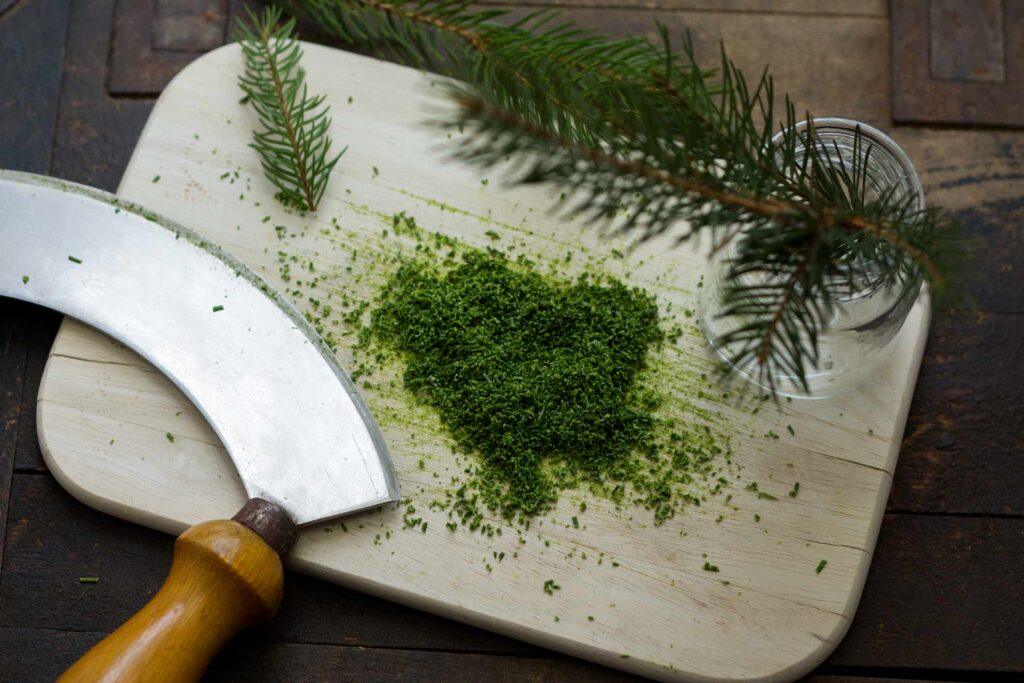 Herbal Hunter Kräuterküche Fichten Drops Rezept