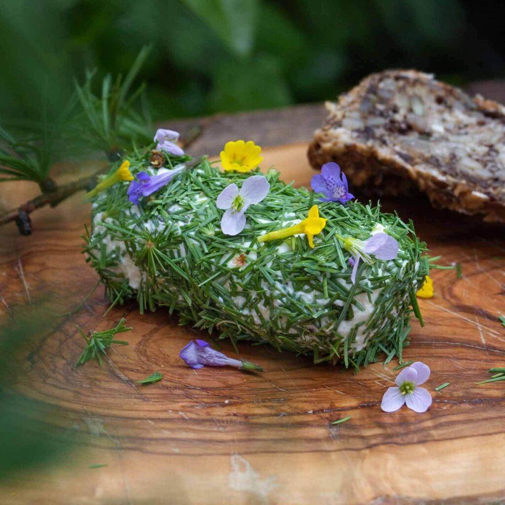 Ich ess' Bäume Herbal Hunter Kräuterblog Baumküche Lärchen-Frischkäserolle