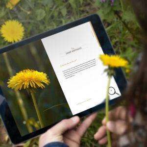 »Wildes Fast Food« – E-Book [Digital]