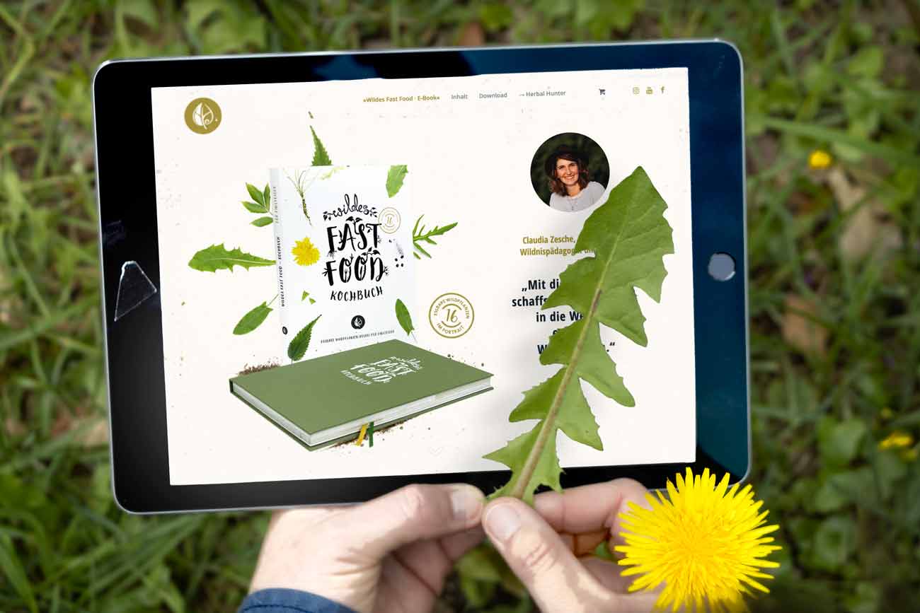 Wildes Fast Food – Kochbuch als eBook