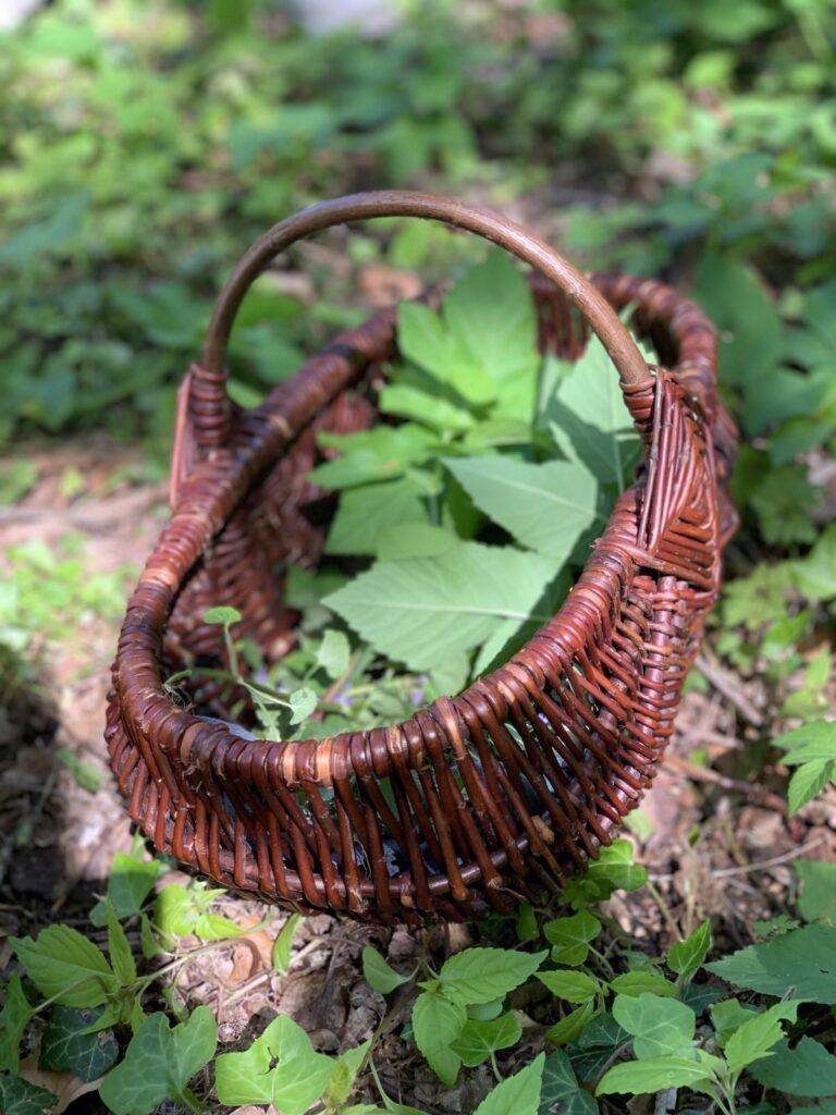 Herbal Hunter – Wildkräuter-Rezepte! Eine Auswahl saisonaler und gesunder Kräuterrezepte mit frischem wilden Grün