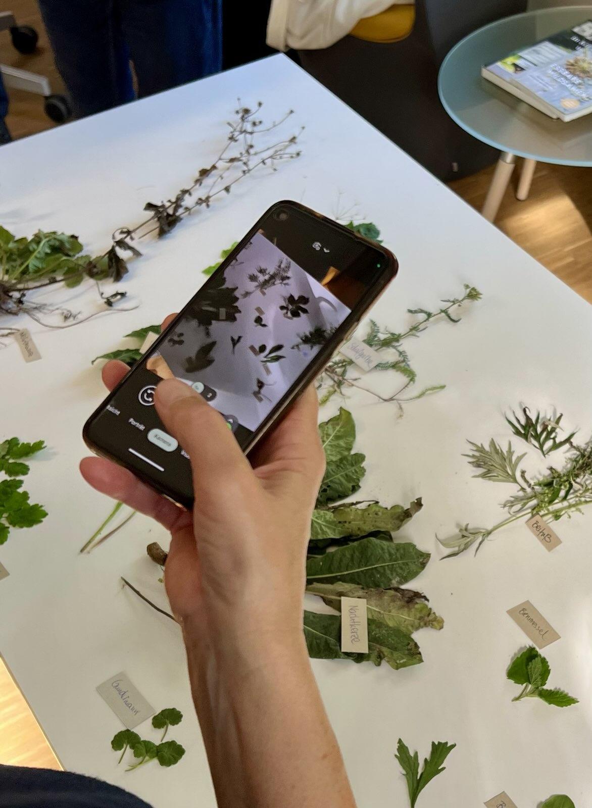 Kräutertag HVHS Seddin Claudia Zesche-Göpfert | Herbal Hunter